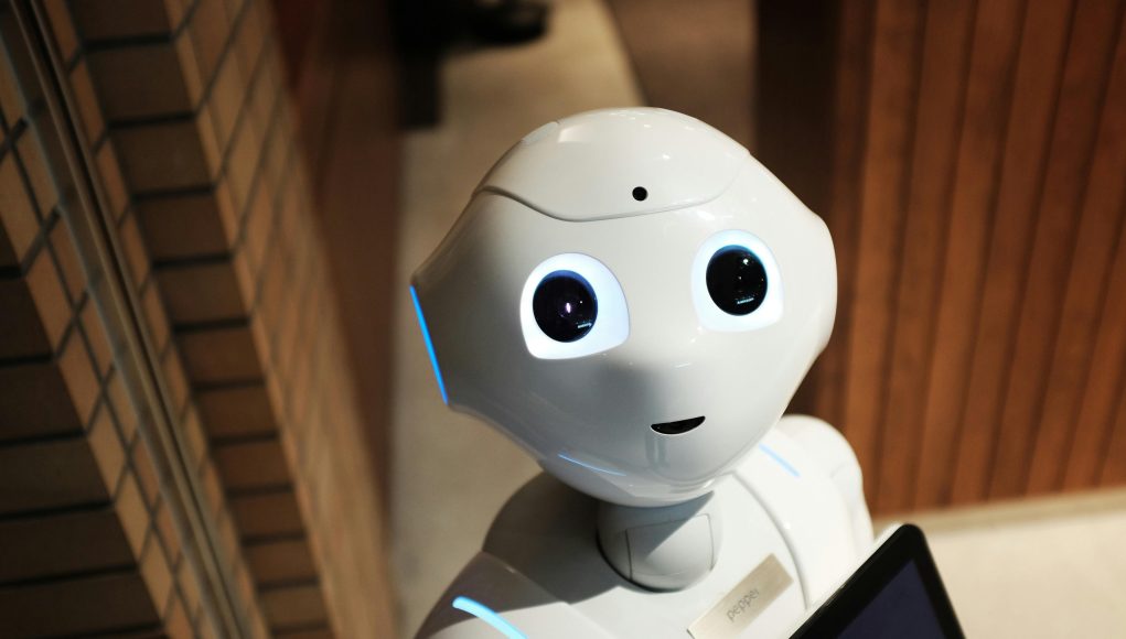 pexels-agk42-2599244