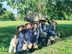 Changsha County Woos Tourists with Its Own Unique Allure