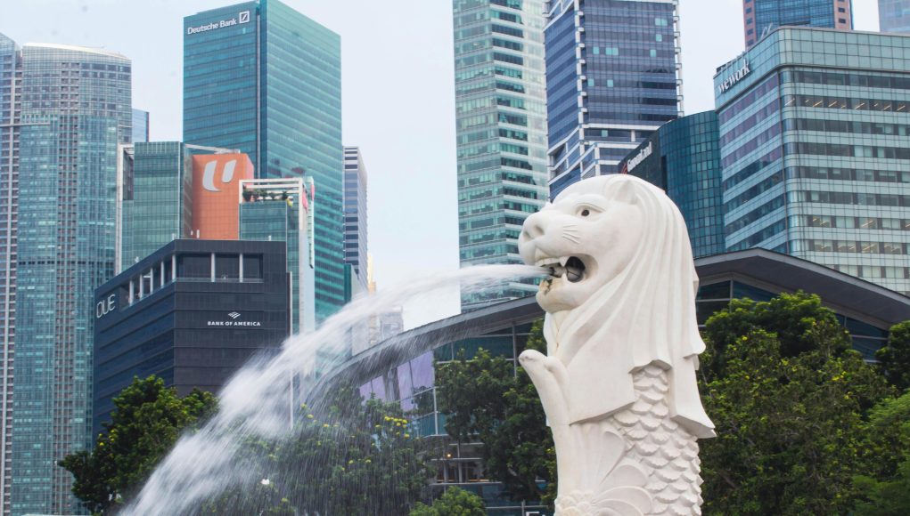 pexels-imahoomaan-34724069