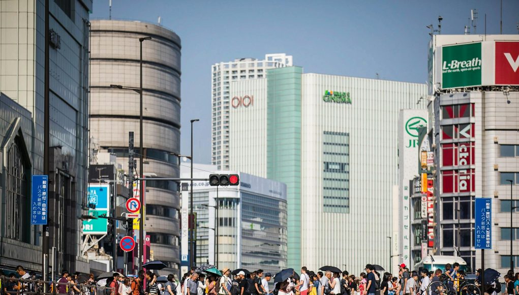 pexels-riccardo-parretti-145996493-10657832