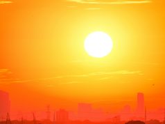 Climate Crossroads: How Asia Is Adapting to a Hotter, Riskier Future