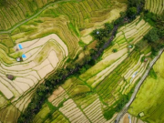 Quality Farmland Grows Scarce, Reshaping the Value of Agricultural Products